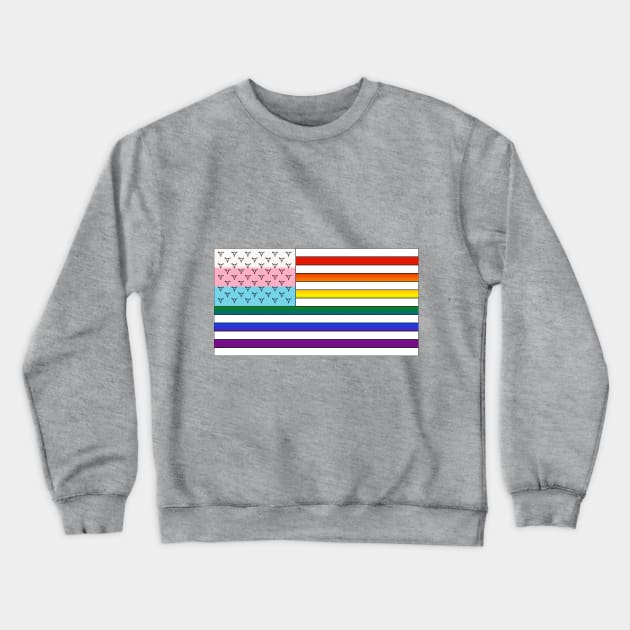 USA Pride Crewneck Sweatshirt by Thea Math